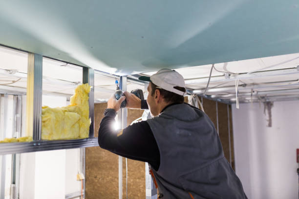 Best Insulation Installation Services in Ashland, OH