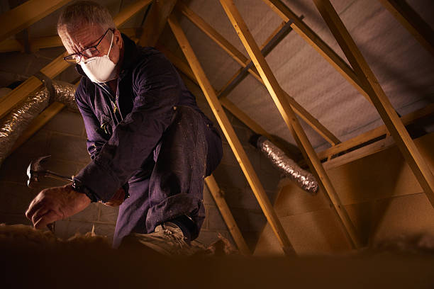Best Insulation Maintenance and Repair in Ashland, OH